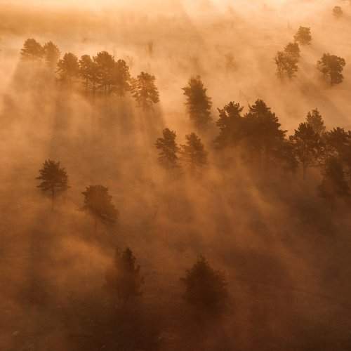 Утренняя туманность