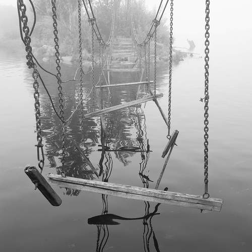 Фотография #10950183