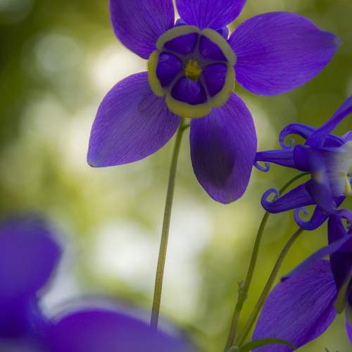 Фотография #10950857