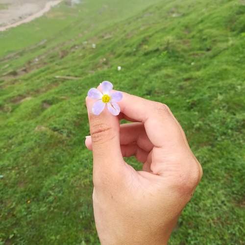 Photo #10950893
