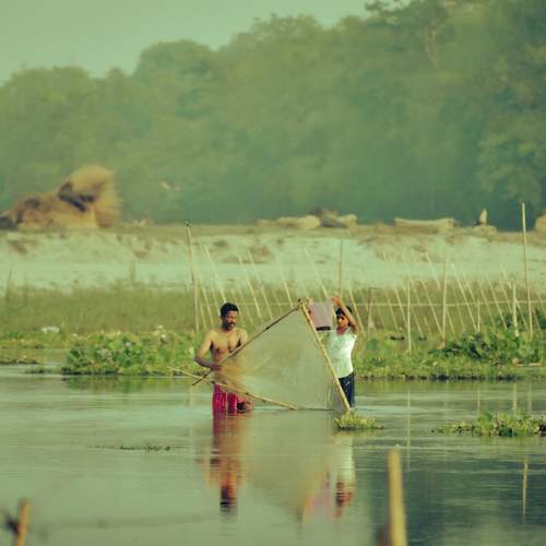 Photo #10951154
