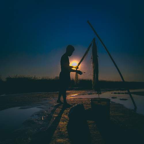 Photo #10951164