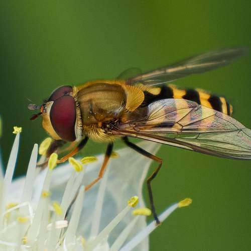 Photo #10951805