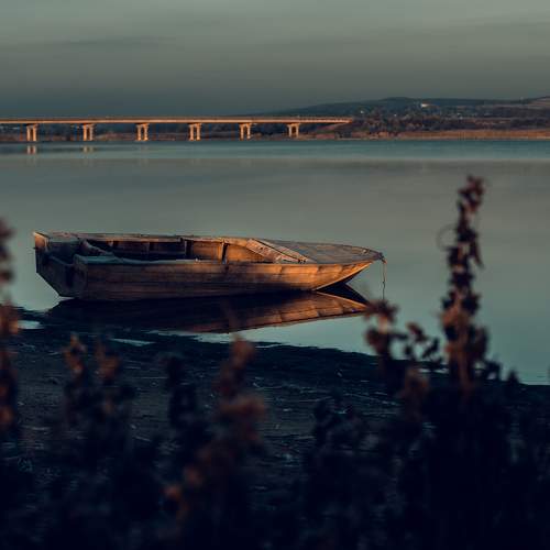 Photo #10951999