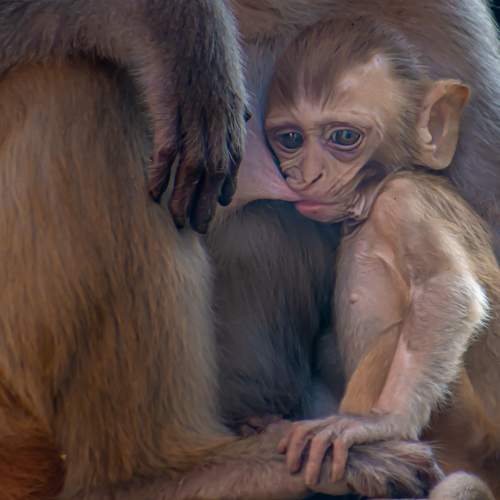 Photo #10952347