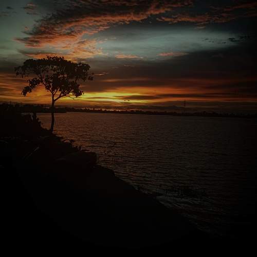 Photo #10952589