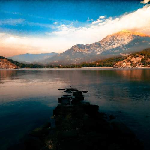 Photo #10952619