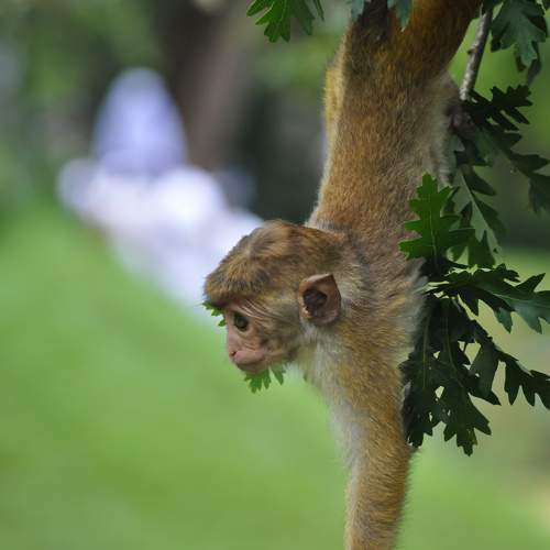 Photo #10952818