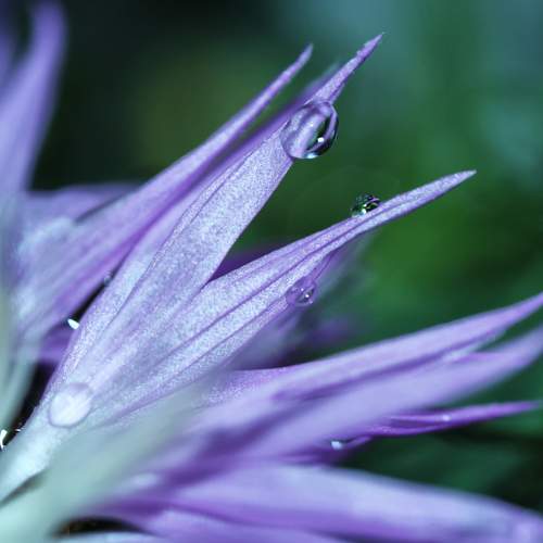 Photo #10953050
