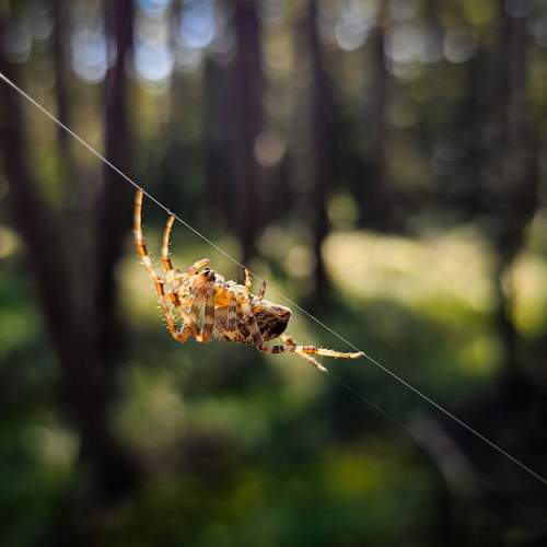 Photo #10953371