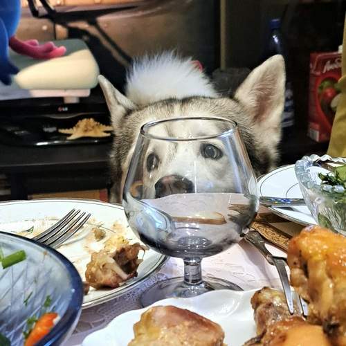 Photo #10954038