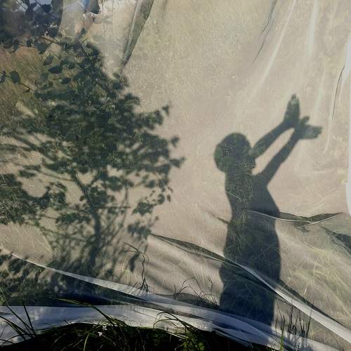Photo #10954122