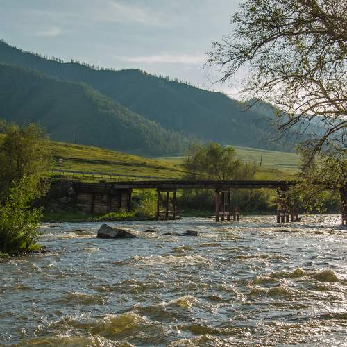 Photo #10954163