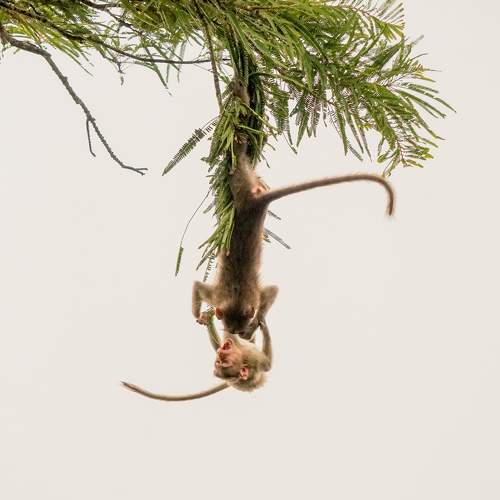 Photo #10954977