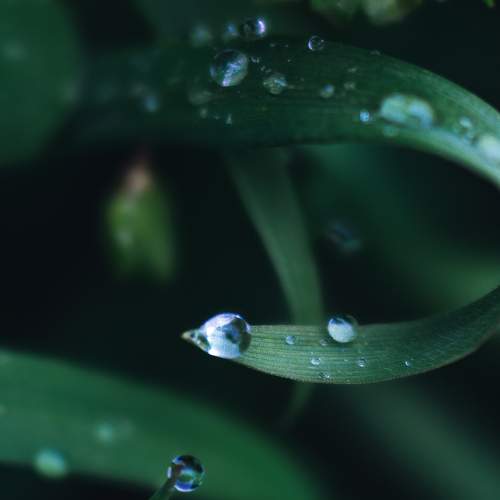 Photo #10955091