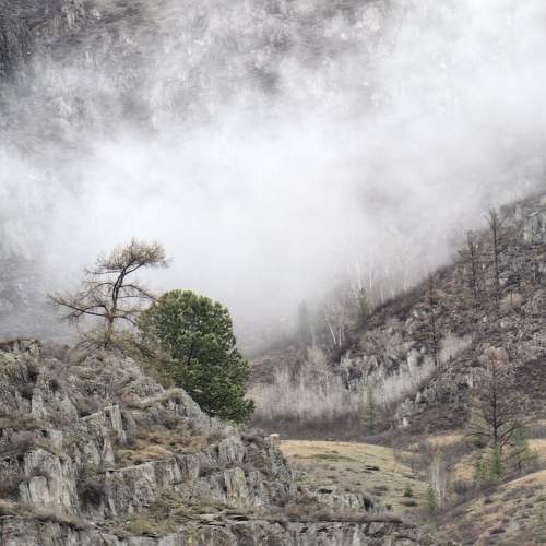 Photo #10955202