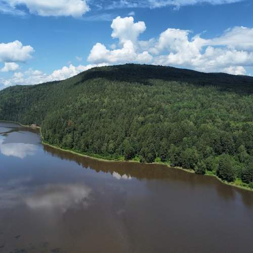 Photo #10955293