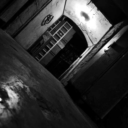 Photo #10955723