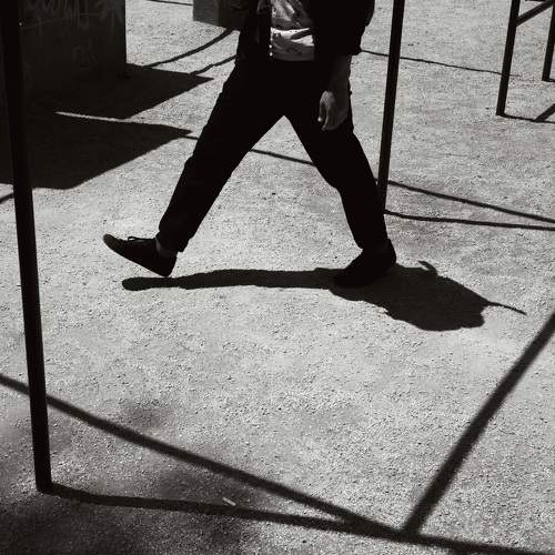 Фотография #10956276