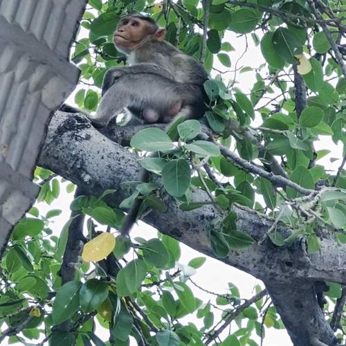 Photo #10956527