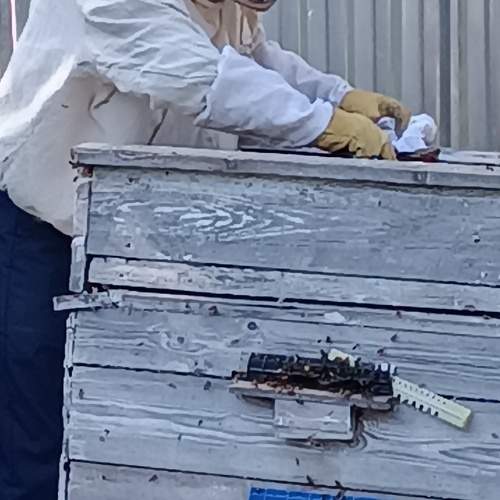 Photo #10956662