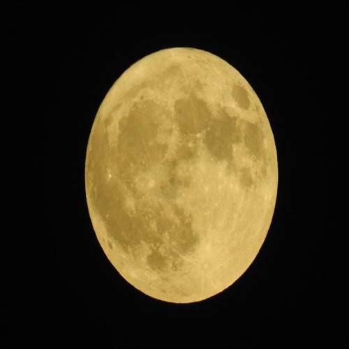 Photo #10956864