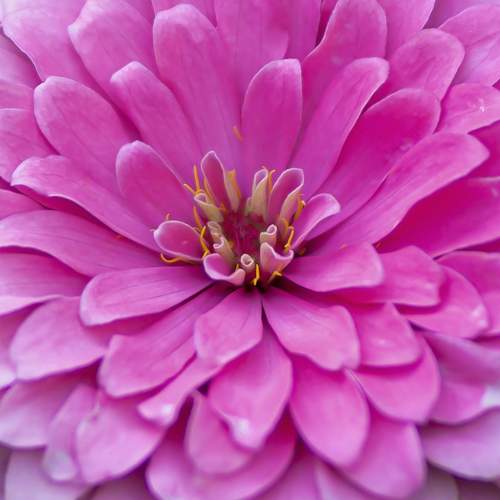 Photo #10957002