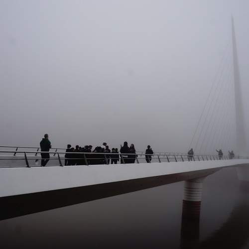 Photo #10957356