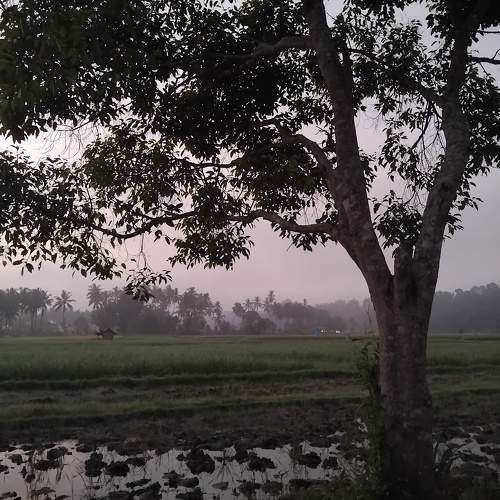 Photo #10957475