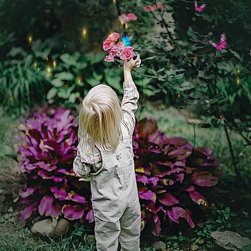 Photo #10957513