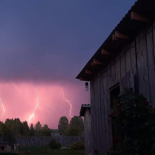 Photo #10957797