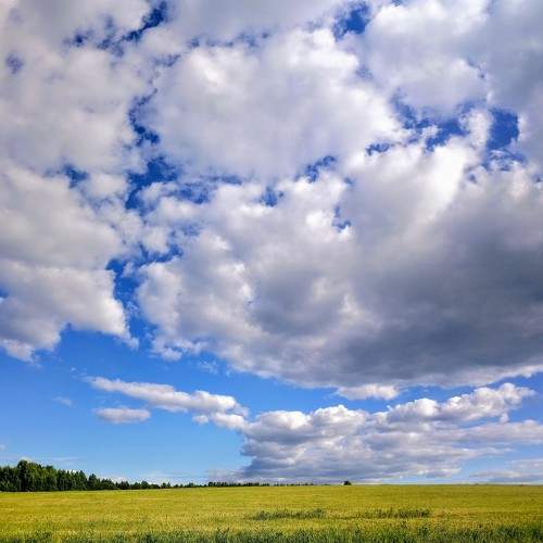 Photo #10957798