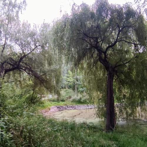 Photo #10957921
