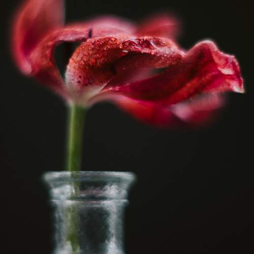 Photo #10958659