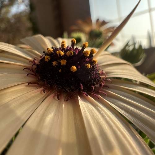Photo #10959569