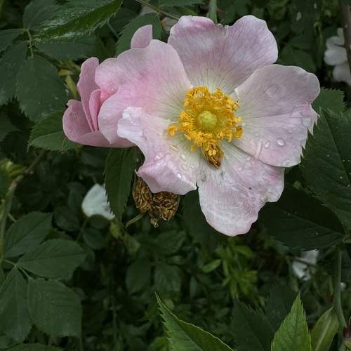 Photo #10959682