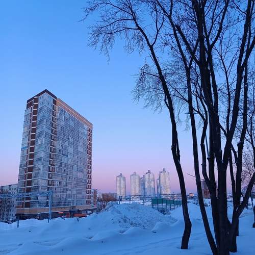 Photo #10959720
