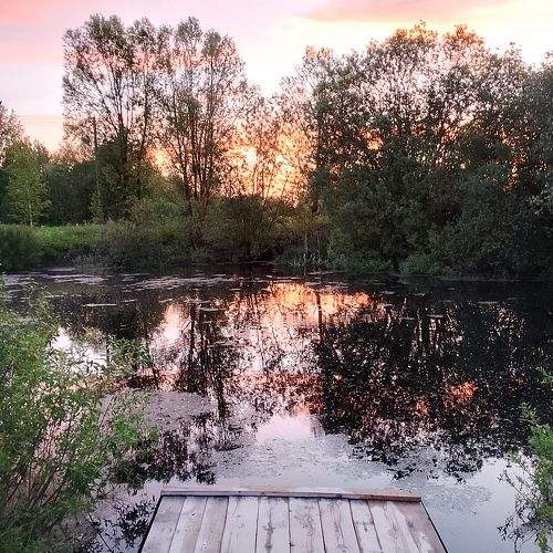 Photo #10960302