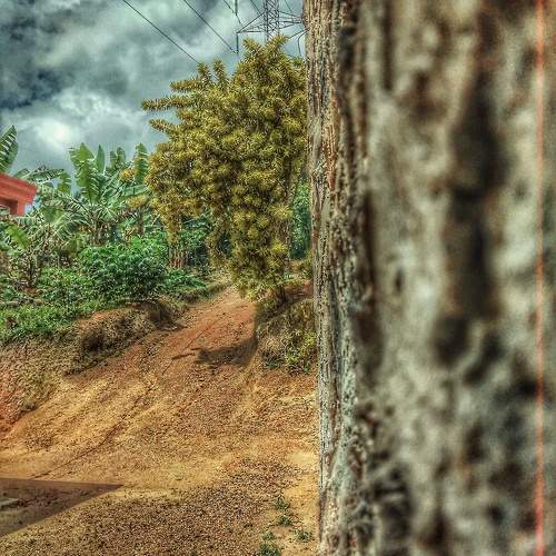 Photo #10960709