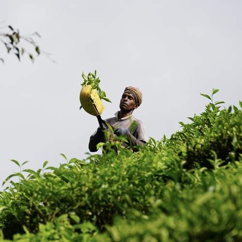 Фотография #10960874