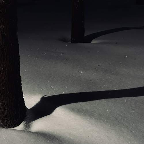 Photo #10961172