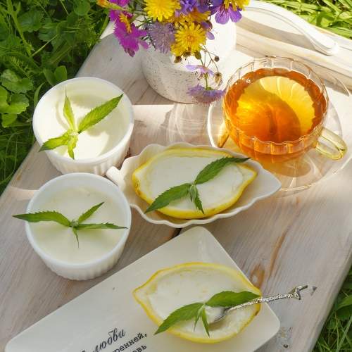 Photo #10961270