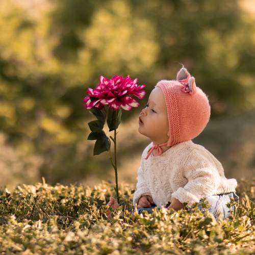 Photo #10961374