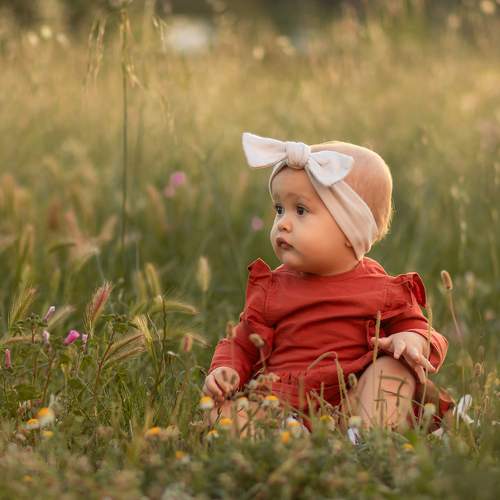 Photo #10961375