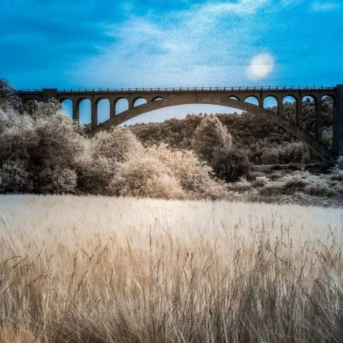 Photo #10961529