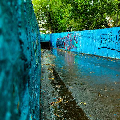 Photo #10962151