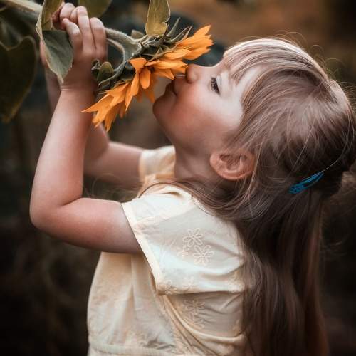 Photo #10962522