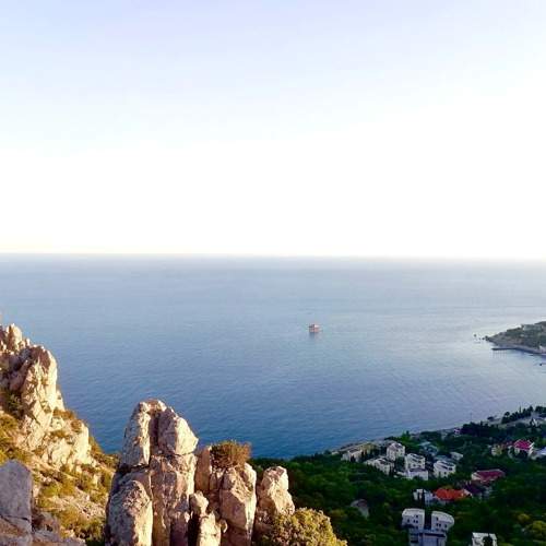 Photo #10962814