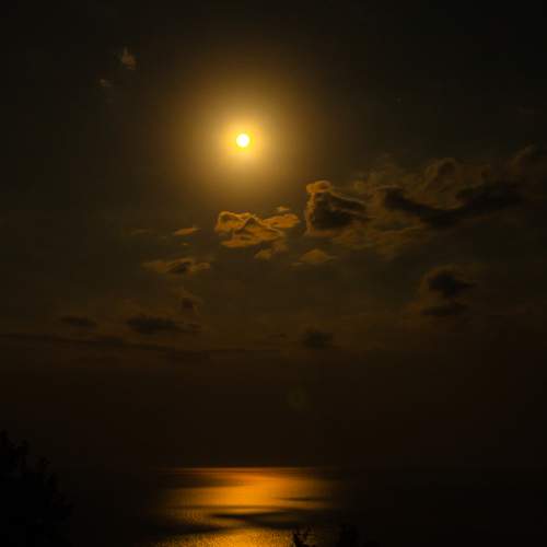 Photo #10963056
