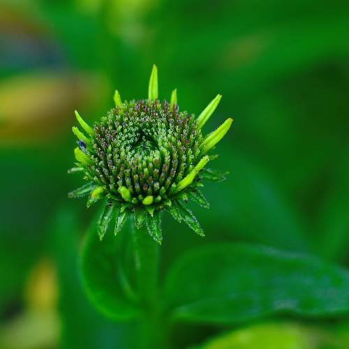Photo #10963553